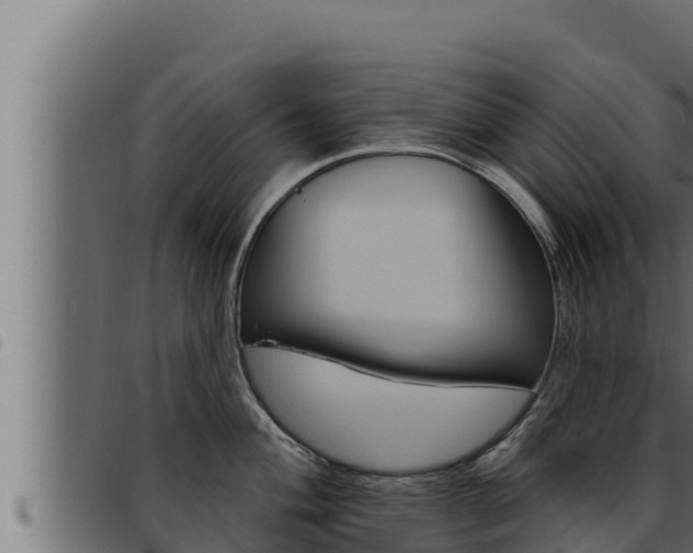 X0000093471004200710121007