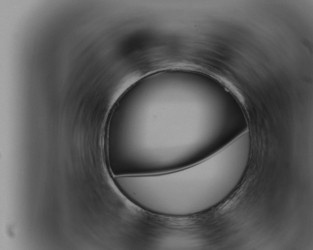 X0000093471007200710121007