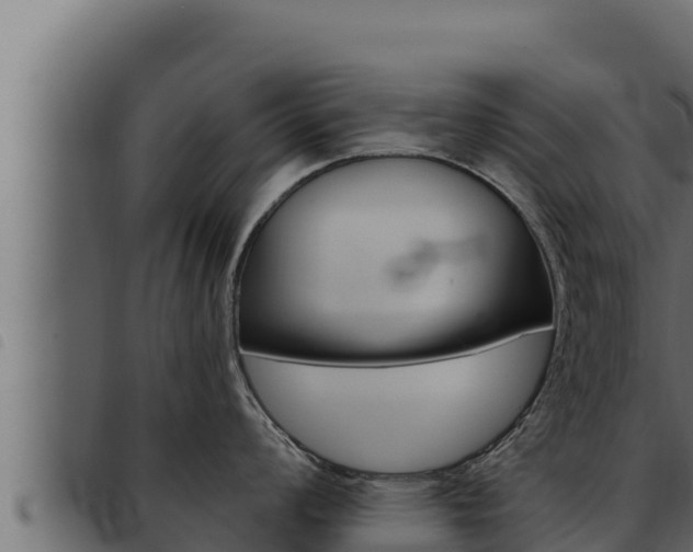 X0000093471008200710121007