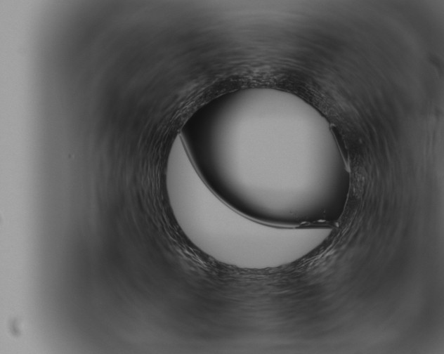 X0000093471010200710121006