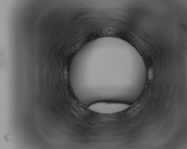 X0000093471011200710121006