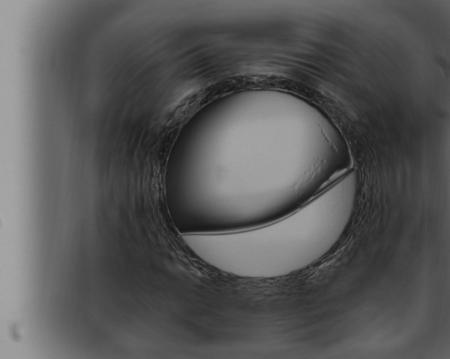 X0000093471014200710121006