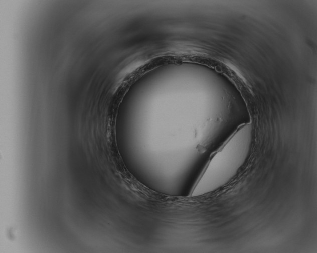X0000093471016200710121006