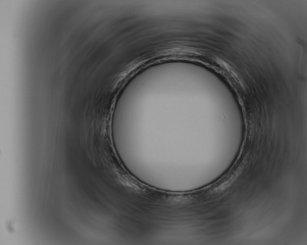 X0000093471017200710121006