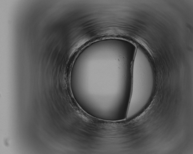 X0000093471018200710121006