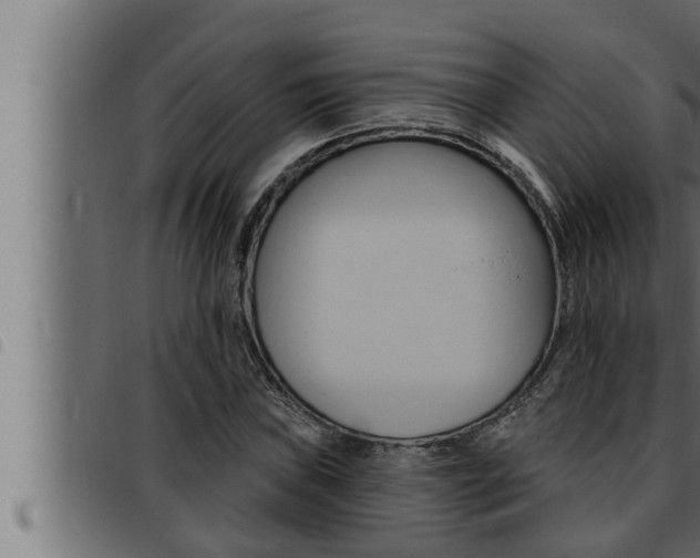 X0000093471019200710121006