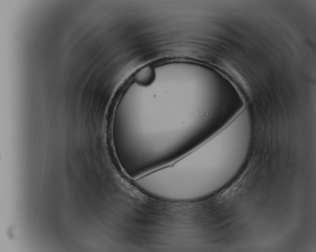 X0000093471020200710121006
