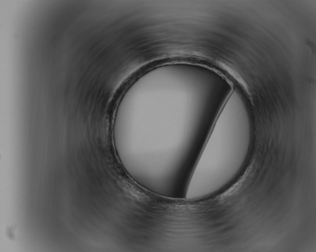 X0000093471021200710121006