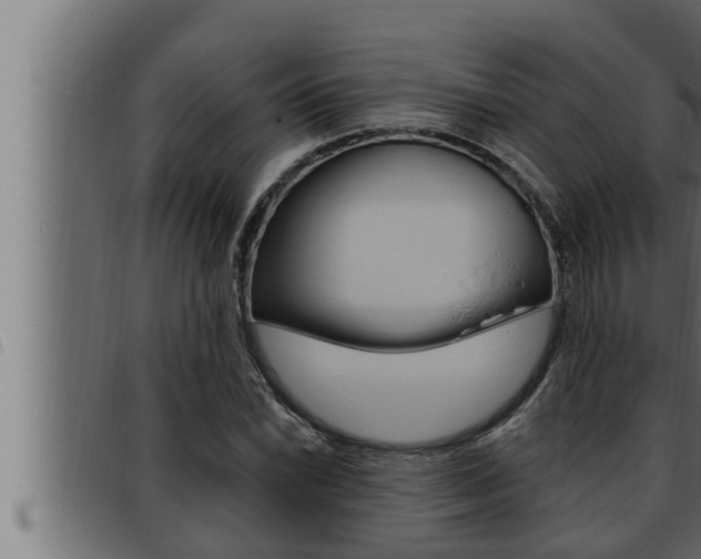 X0000093471022200710121006