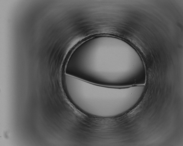 X0000093471024200710121006