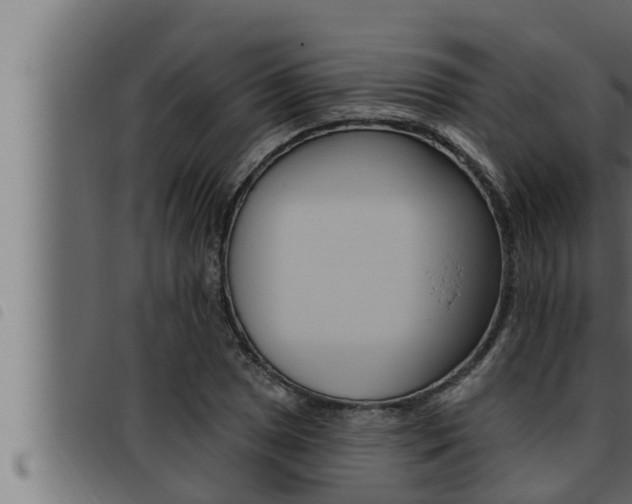 X0000093471025200710121006