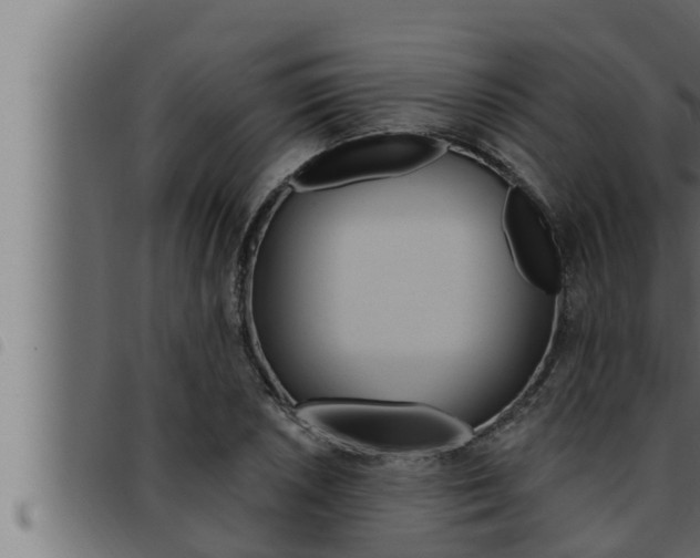 X0000093471026200710121006