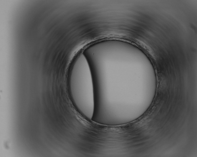 X0000093471027200710121006