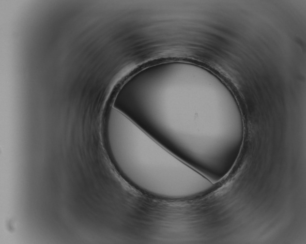 X0000093471029200710121006