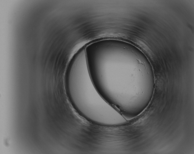 X0000093471030200710121006