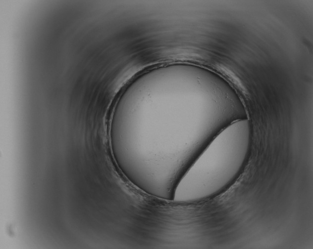 X0000093471031200710121006