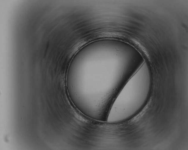 X0000093471033200710121006
