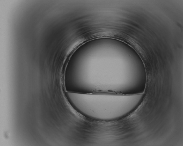 X0000093471034200710121006
