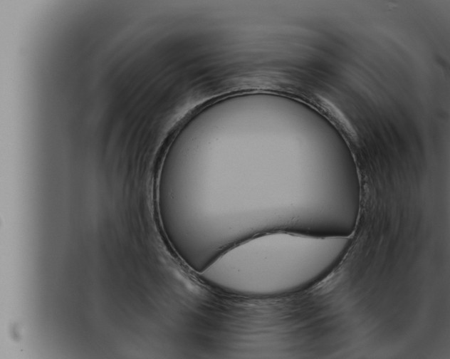 X0000093471035200710121006