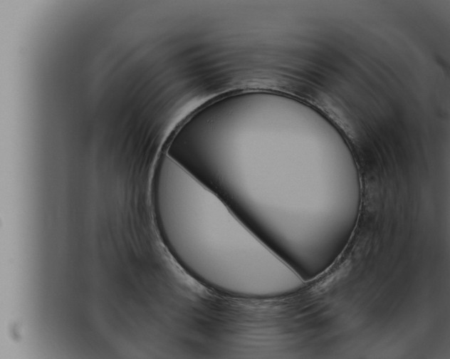 X0000093471036200710121006