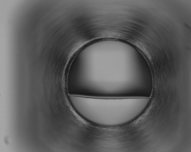 X0000093471037200710121006