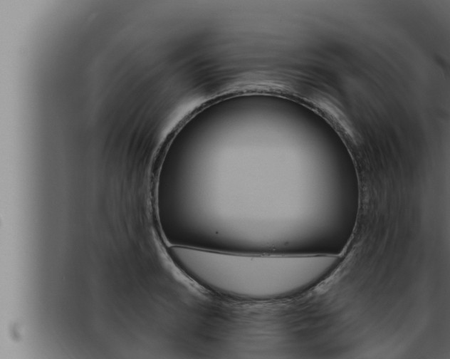 X0000093471038200710121006