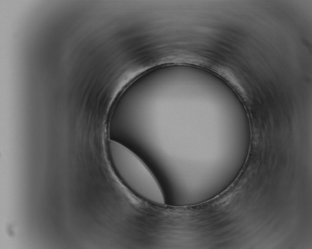 X0000093471040200710121006