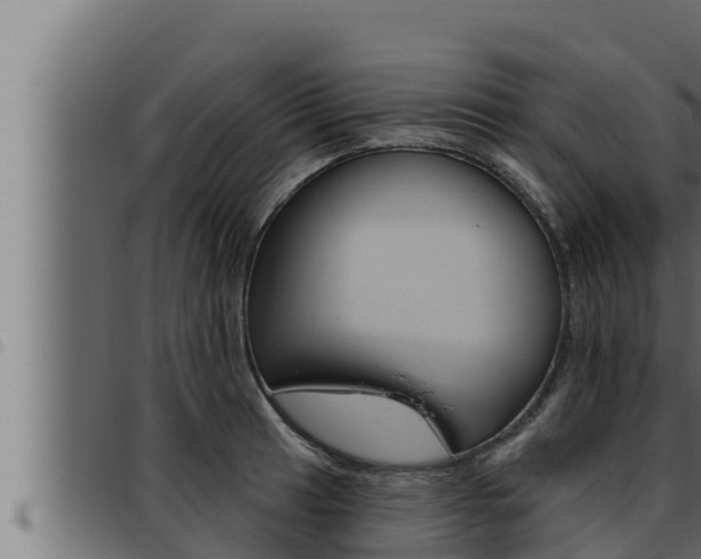 X0000093471041200710121006