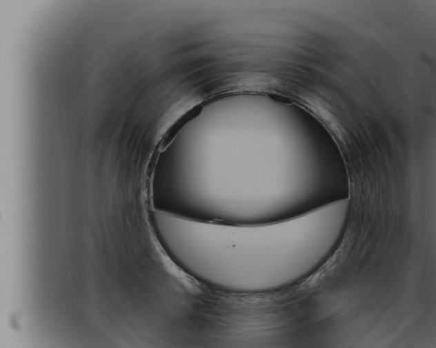 X0000093471042200710121006