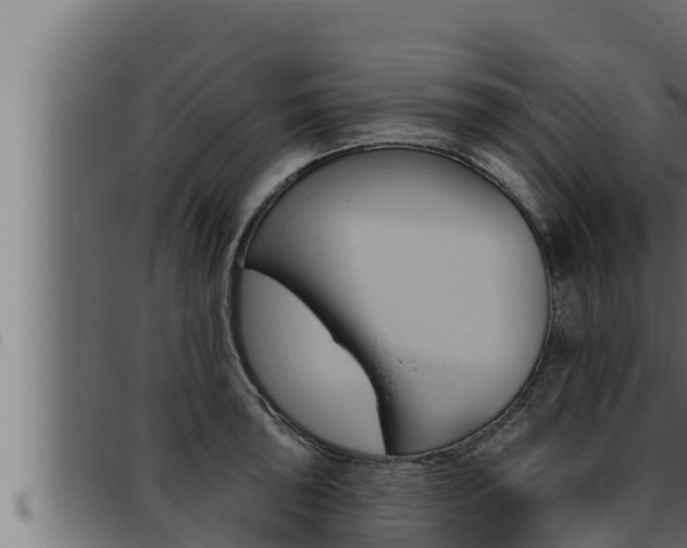 X0000093471043200710121006