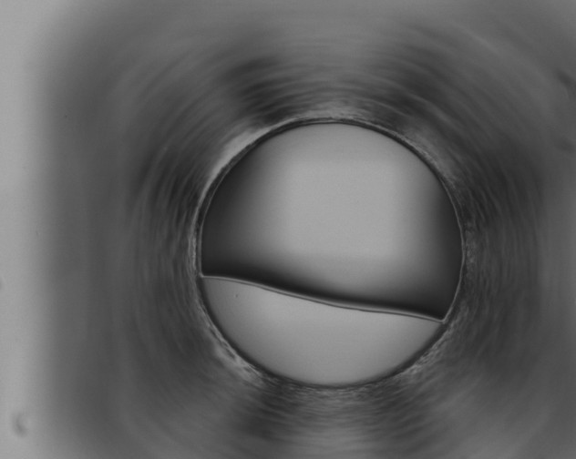 X0000093471044200710121006