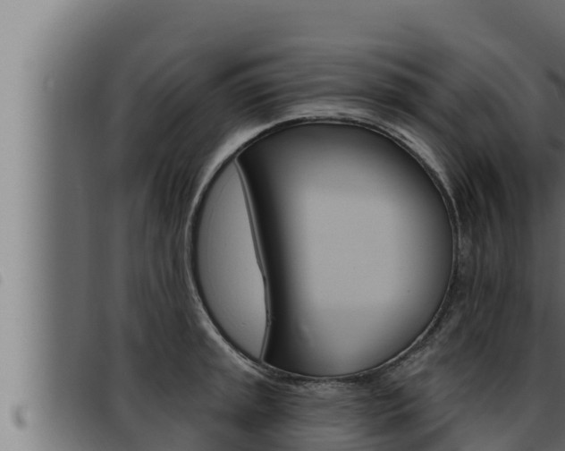 X0000093471045200710121006