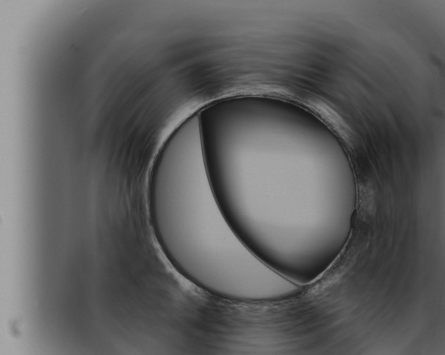 X0000093471046200710121006