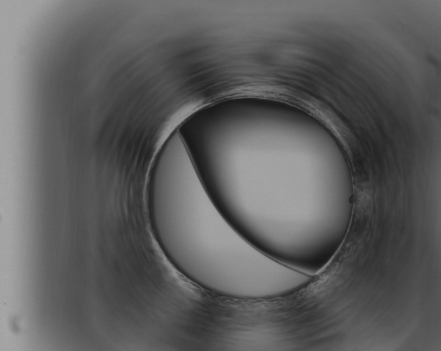 X0000093471050200710121007