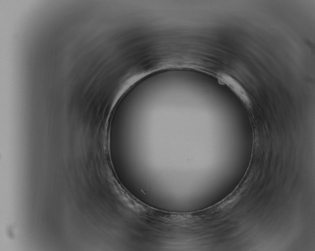 X0000093471052200710121007