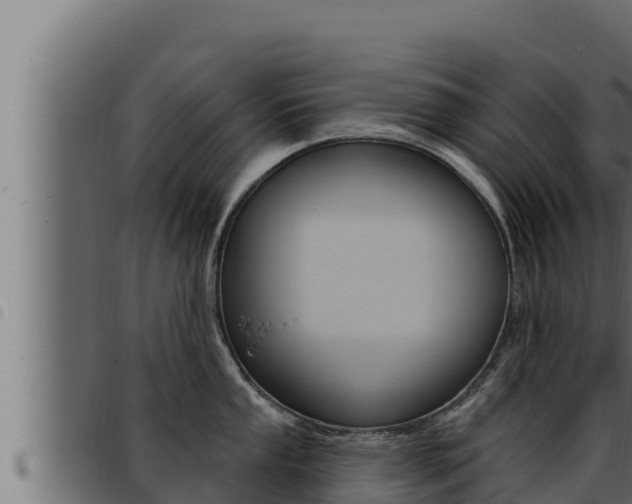 X0000093471053200710121007