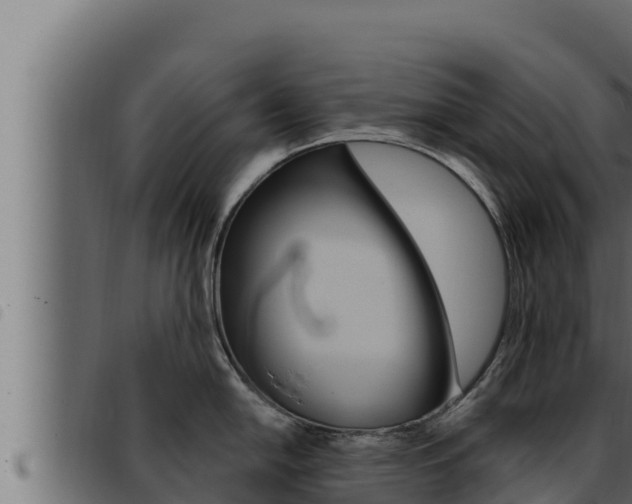 X0000093471054200710121007