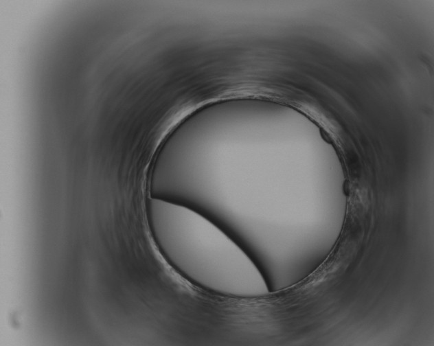 X0000093471055200710121007