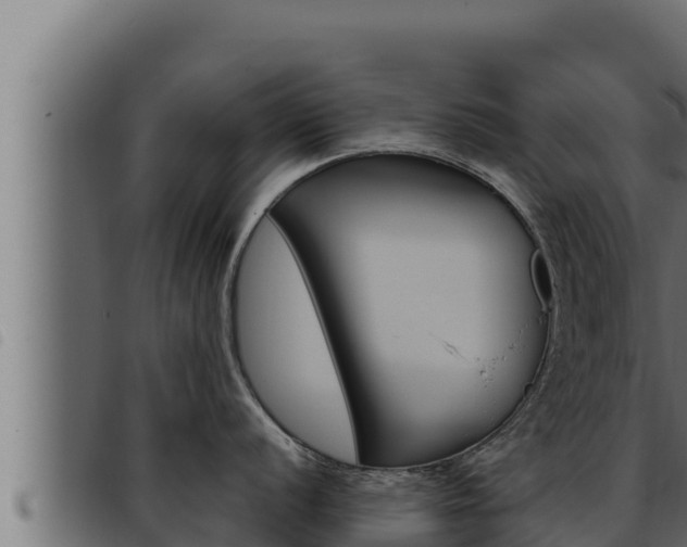 X0000093471056200710121007