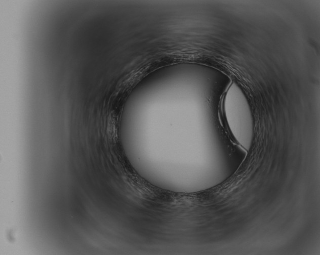 X0000093471058200710121006