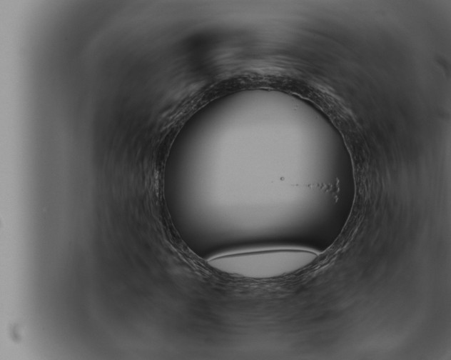 X0000093471061200710121006