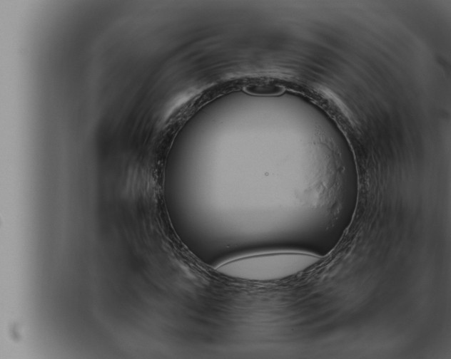 X0000093471064200710121006