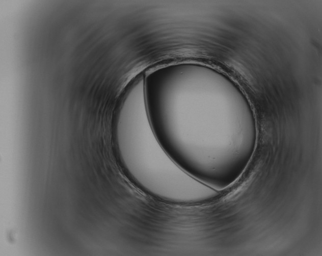 X0000093471065200710121006