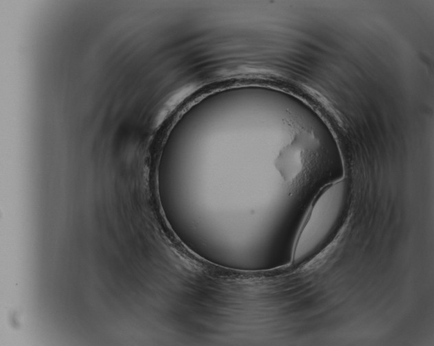 X0000093471066200710121006