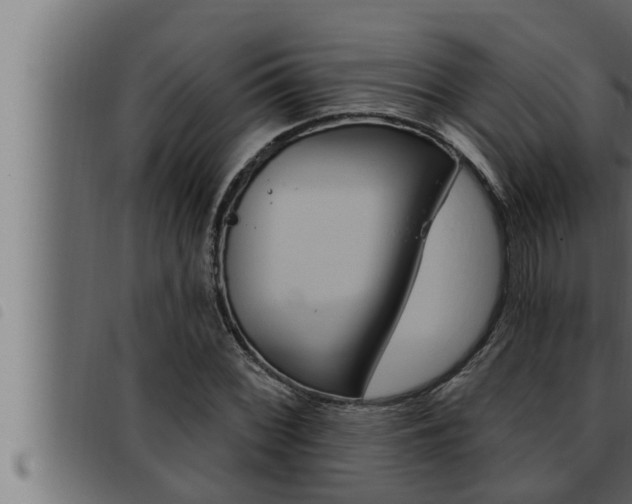 X0000093471068200710121006