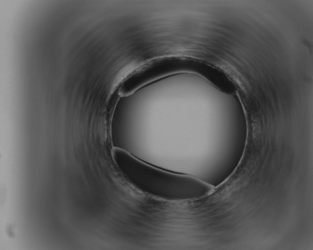 X0000093471069200710121006
