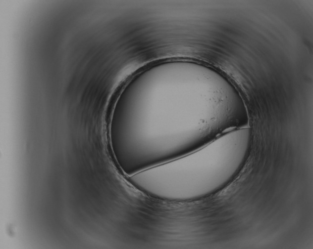 X0000093471072200710121006