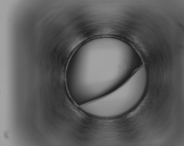 X0000093471073200710121006