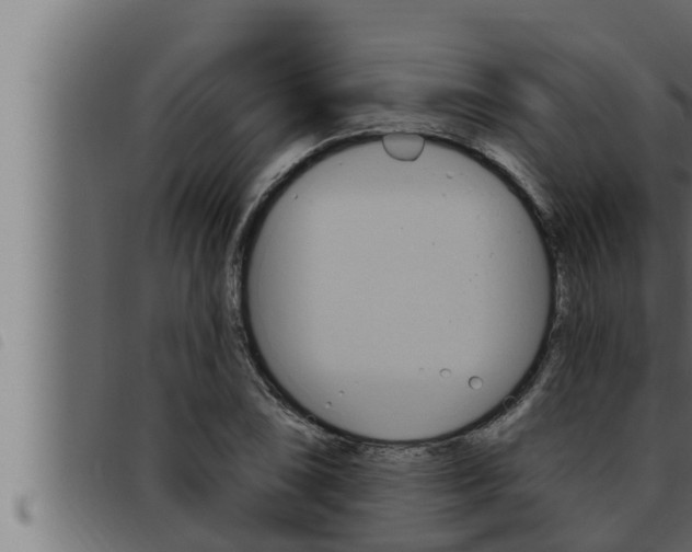 X0000093471074200710121006