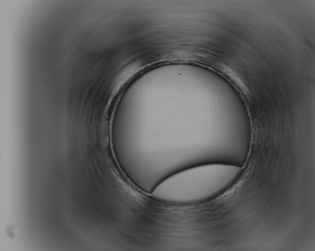 X0000093471075200710121006